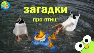 ЗАГАДКИ И ОТГАДКИ | ПТИЦЫ