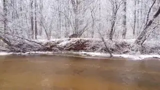 Преодоление реки   Немецкая овчарка