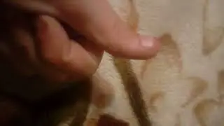 не слушайте этих тупых хейтеров
