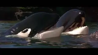 Connection (Free Willy 2 / 1995)