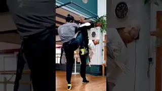 WING CHUN vs HIGH KICKS