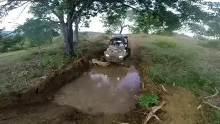 experiencia gorila parte 2