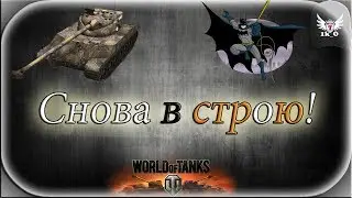 Снова в строю!