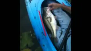 my biggest bass so far