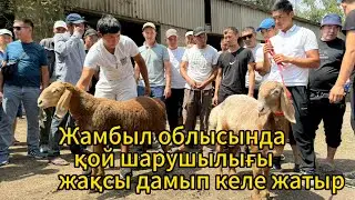 ҚОЙ ЖӘРМЕҢКЕСІ 2024 қызықты өтті