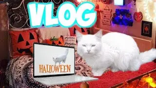 Хеллуин влог!👻🎃😍🐱💗