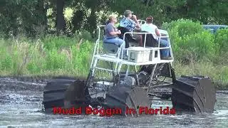 Mudd Boggin in Florida - Boggin Bunnell