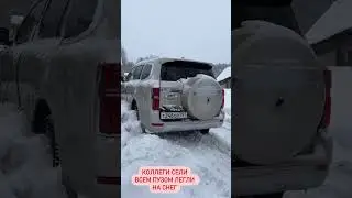 Сели на пузо! 