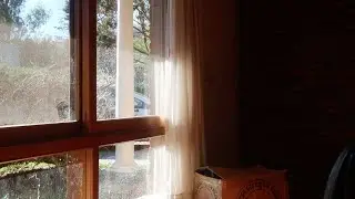Irse (el carmen) | vlog final