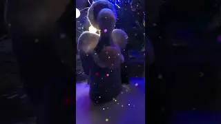 С Рождеством! 