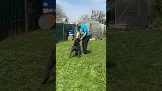 Наш маленький игрун 🥰