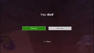 Minecraft Entity 606 Never Found
