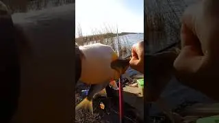 весенняя рыбалка на реке , spring fishing on the river 