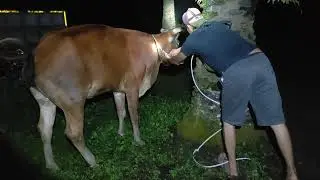 Bensin !!! Bisa jadi obat luka ringan di saat diperlukan 👍👍