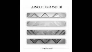 TuneFreak - Jungle Sound 01 mini album out now! Check out on Bandcamp