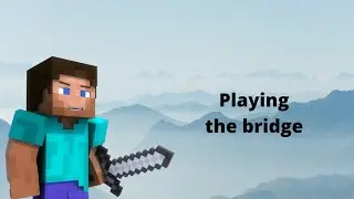 Playing the bridge #1