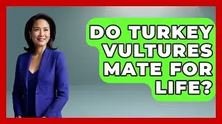 Do Turkey Vultures Mate For Life? - Bird Watching Diaries