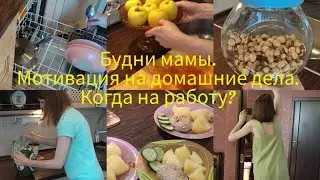 Будни мамы. Мотивация на домашние дела. Когда на работу?