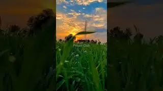 How to edit slow motion video in VN Video Editing #vnvideoeditor  #vn