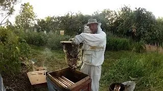 Ловля роев. Мои рабочие ловушки. 2014 год