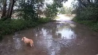Povodene záplavy  Bratislava 2024