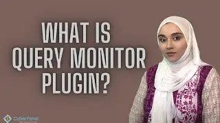 Query Monitor - Easily Debug and Improve WordPress Performance