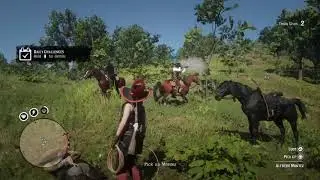 Red Dead Redemption 2: Spawn trap Montez