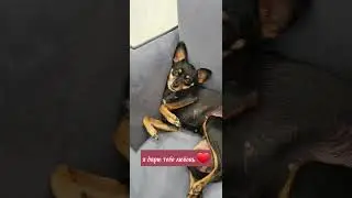 Бонечка ❤❤❤❤