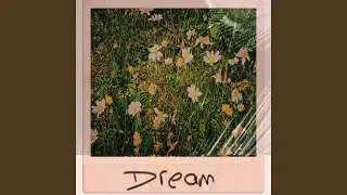 Dream