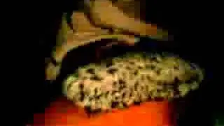 Casper Wakkermaken
