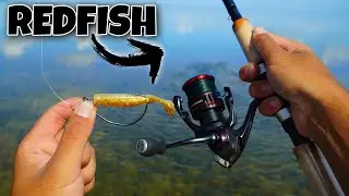 Chasing REDFISH Schools in 1FT of Water