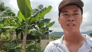 mẫu chuồng avi lớn chim sướng nhất