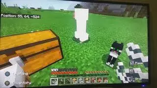 I Thought Cats Were Supposed To Scare Away Creepers ;-; | Minecraft