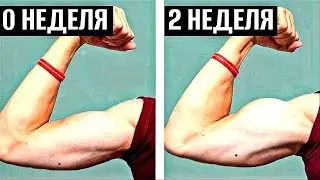 Накачай БИЦЕПС в ДОМАШНИХ УСЛОВИЯХ! 4 МИН в день / БЕЗ ВЕСА / ГДЕ УГОДНО / Для подростков