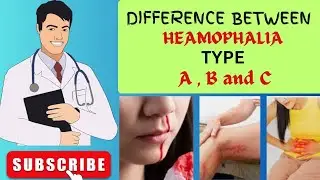 Understanding Hemophilia A, B, & C: A Blood Disorder Breakdown