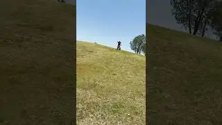 Little girl tests the powers of Dad reflex