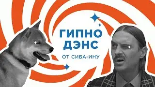 СИБА-ИНУ ТАНЦУЕТ ПОД LITTLE BIG HYPNODANCER - ПАРОДИЯ НА КЛИП 😂