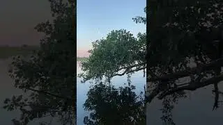 На природе , Волгоград)