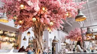 Lunch At The Florist | Jtru
