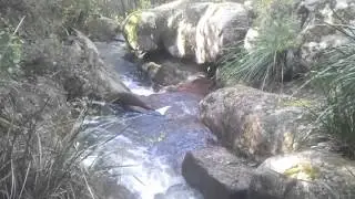 Tomahawk Creek gembrooke part 2.