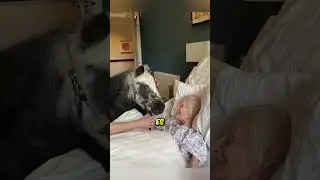 Grandma's last wish brings tears to everyone's eyes! 🥺❤