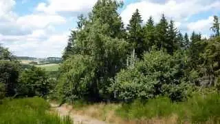 Blick auf Virneburg