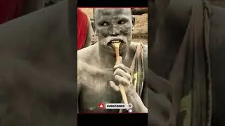 Miswak in the jungle