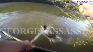 Georgia Assassin 2023-2024 Intro | SUBSCRIBE!