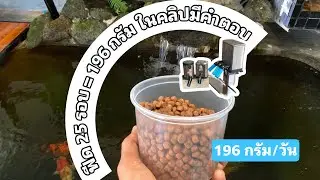 อธิบายการให้อาหารของบ่อผม