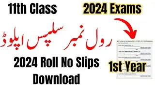 11th Class Annual 2024 Exams Roll No Slips Upload | 1st year Roll No Slips Exams 2024 All Boards