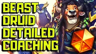 Beast Druid Coaching Session