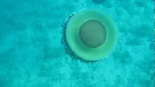 Mis señoras de agosto