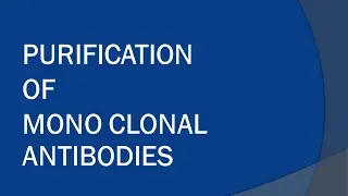 Purification of Monoclonal Antibodies