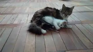 Что оно тут ползает.